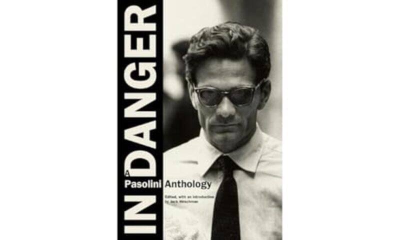 

In Danger by Pier Paolo PasoliniJack Hirschman-Paperback
