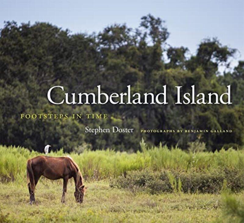 

Cumberland Island by Tom Willem den HoedVan Haren Publishing-Hardcover