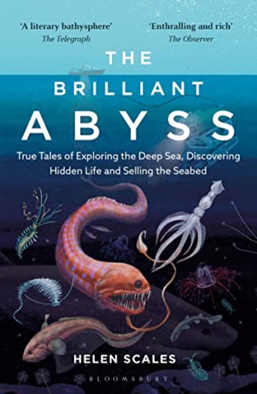 The Brilliant Abyss by Helen Scales-Paperback