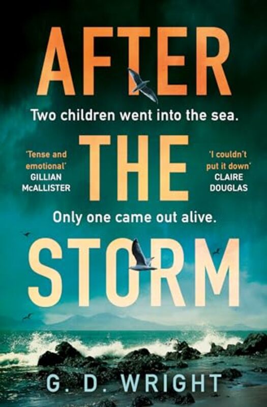 

After the Storm by G D Wright-Paperback