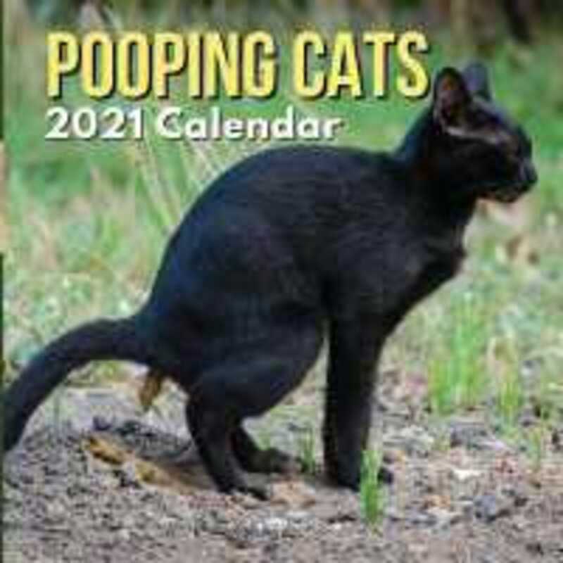 Pooping Cats Calendar 2021 Funny Animal Gag Joke Presents for Men Kids Women Birthday Christmas Sto by Summers, Ellon - Paperback