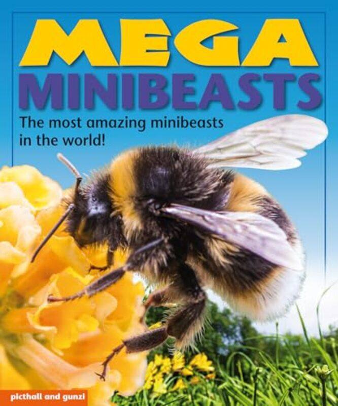 

Mega Minibeasts by Sanjay Srivastava-Paperback