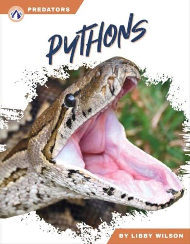 

Predators Pythons by P G W Glare-Paperback
