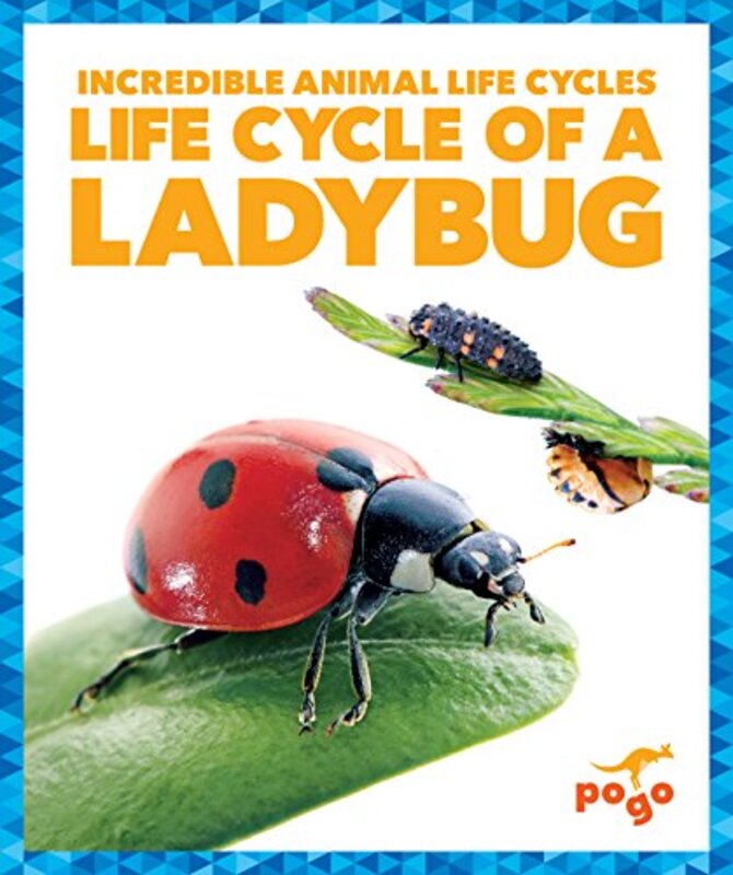 Life Cycle of a Ladybug by Search Press Studio-Hardcover