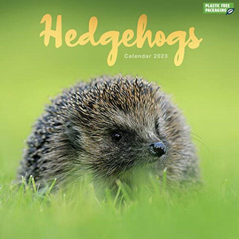 

Hedgehogs Pfp W by Carous - Paperback