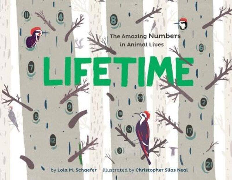 

Lifetime Mazing Numbers In Animals Live By Neal Christopher Silas - Hardcover