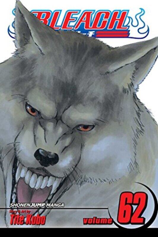 

Bleach Volume 62 by Tite Kubo Paperback