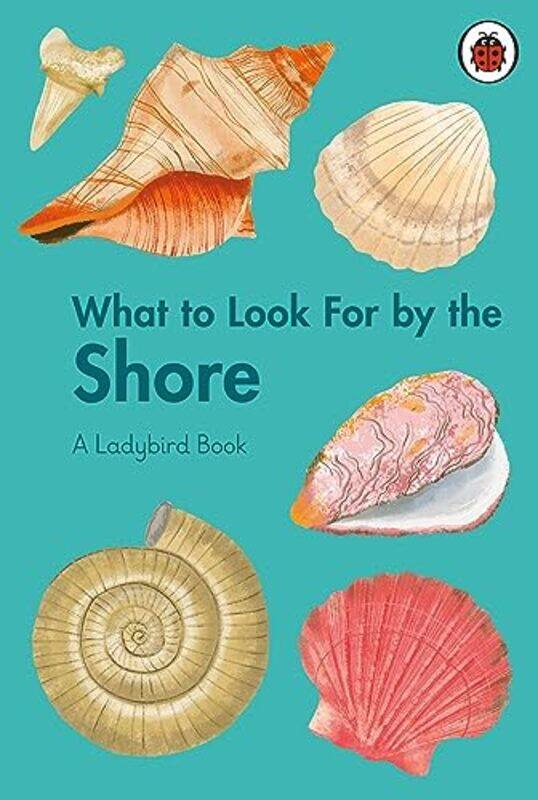 

What to Look For by the Shore by Sark-Hardcover