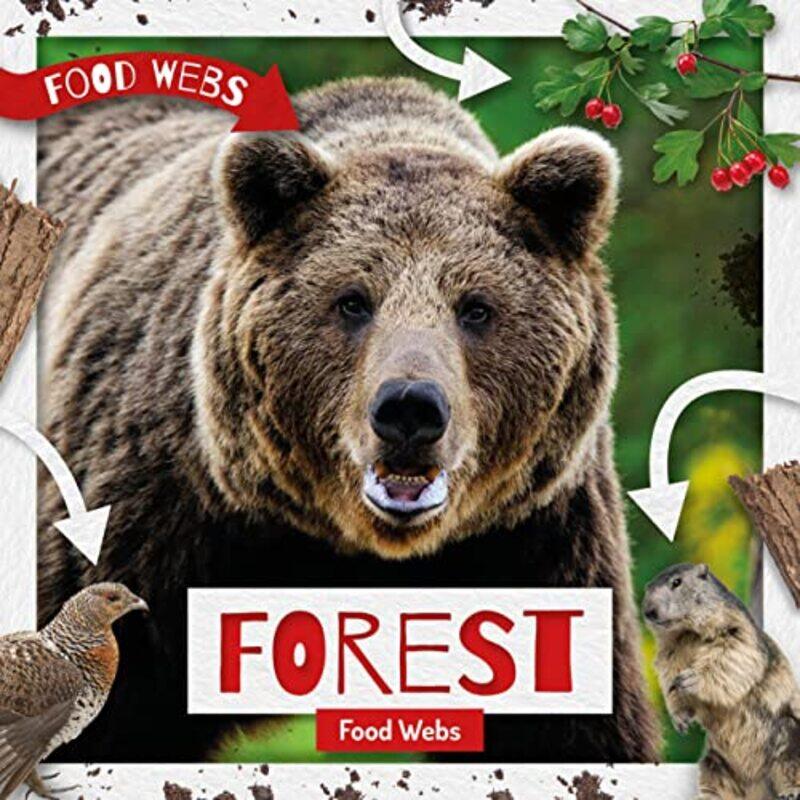 

Forest Food Webs by Michelle CusolitoNicole Wong-Hardcover