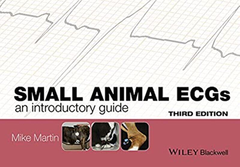 

Small Animal ECGs by Stark Holborn-Paperback