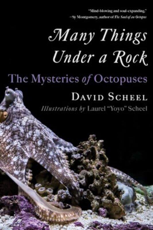 

Many Things Under A Rock By Scheel David - Paperback