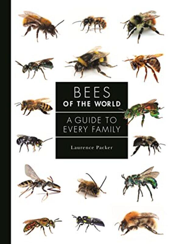 

Bees Of The World A Guide To Every Family By Packer, Laurence -Hardcover