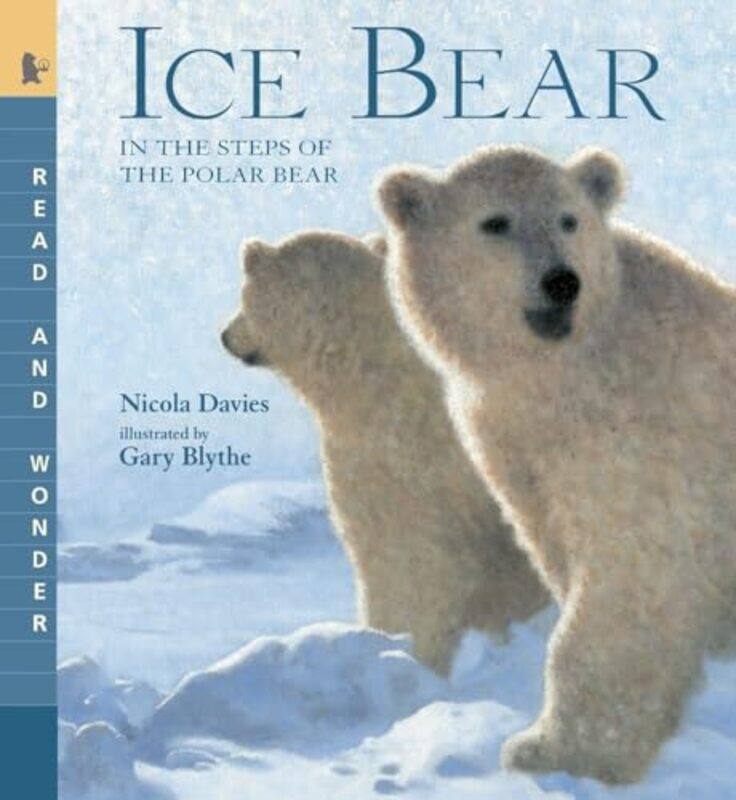 

Ice Bear By Davies Nicola - Paperback