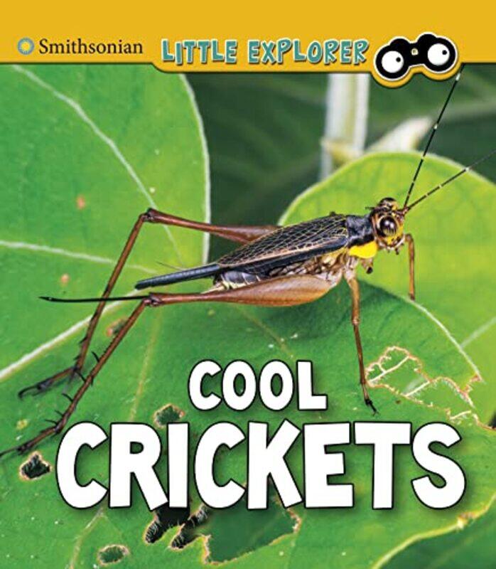 

Cool Crickets by Matthew BOccThy MSc PhD AccOT Molineux-Paperback