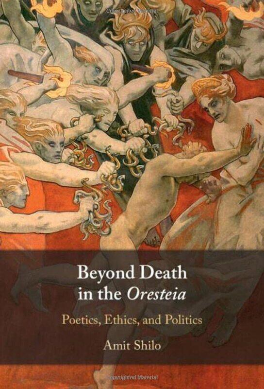 

Beyond Death in the Oresteia by Amit University of California, Santa Barbara Shilo-Hardcover