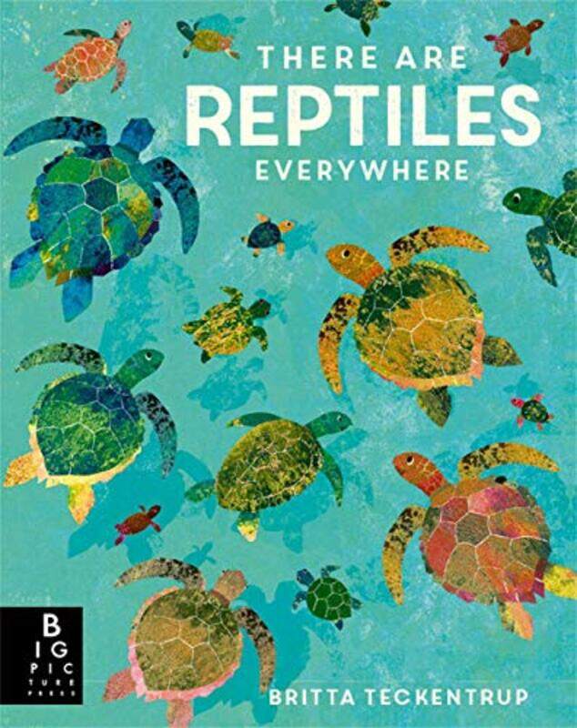 

There are Reptiles Everywhere by Andy Smith-Paperback