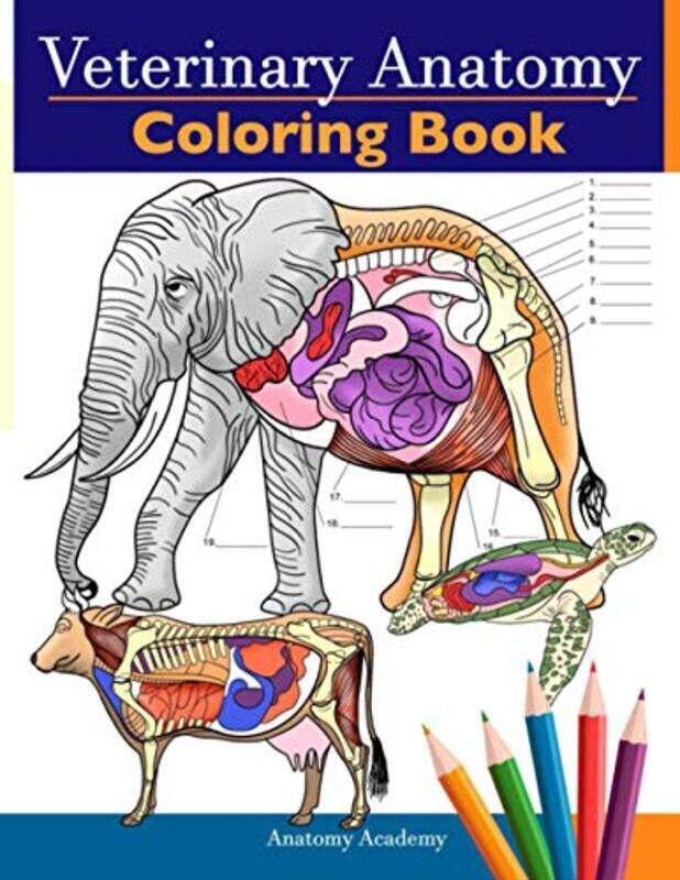 

Veterinary Anatomy Coloring Book: Animals Physiology Self-Quiz Color Workbook for Studying and Relax , Paperback by Academy, Anatomy