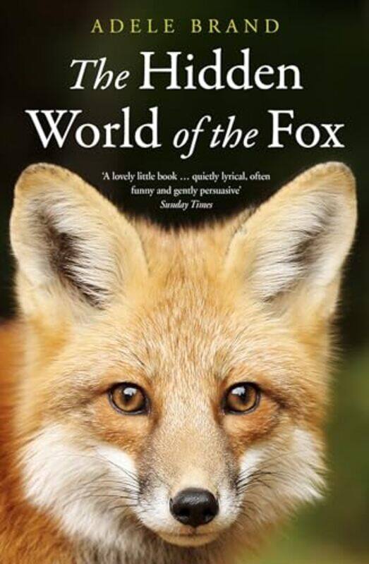 

The Hidden World of the Fox by Helen Naylor-Paperback