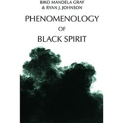 Phenomenology of Black Spirit by Deborah Winking-Hardcover