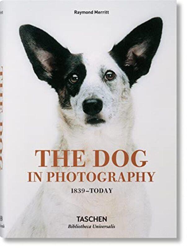 

Dog in Photography 1839-Today , Hardcover by Raymond Merritt