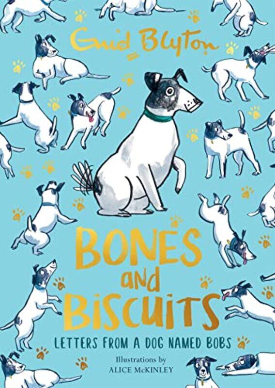 

Bones and Biscuits by Enid Blyton-Paperback