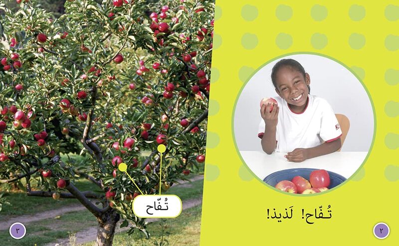 Fruit: Level 4 (Collins Big Cat Arabic Reading Programme), Paperback Book, By: Gill Budgell