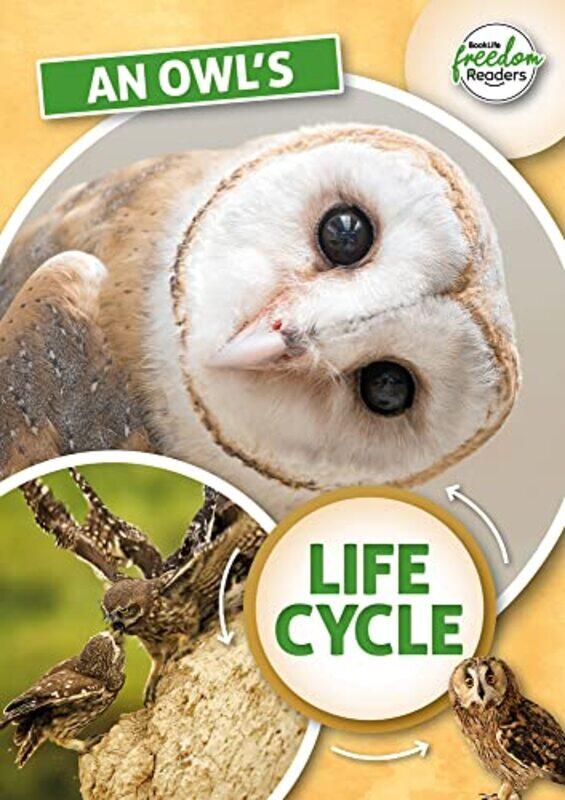 

An Owls Life Cycle by Andrew University of Birmingham UK PetersonJames University of Birmingham UK ArthurJinu Varghese-Paperback