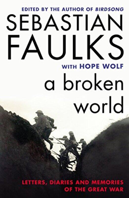 

A Broken World by Sebastian FaulksDr Hope Wolf-Paperback