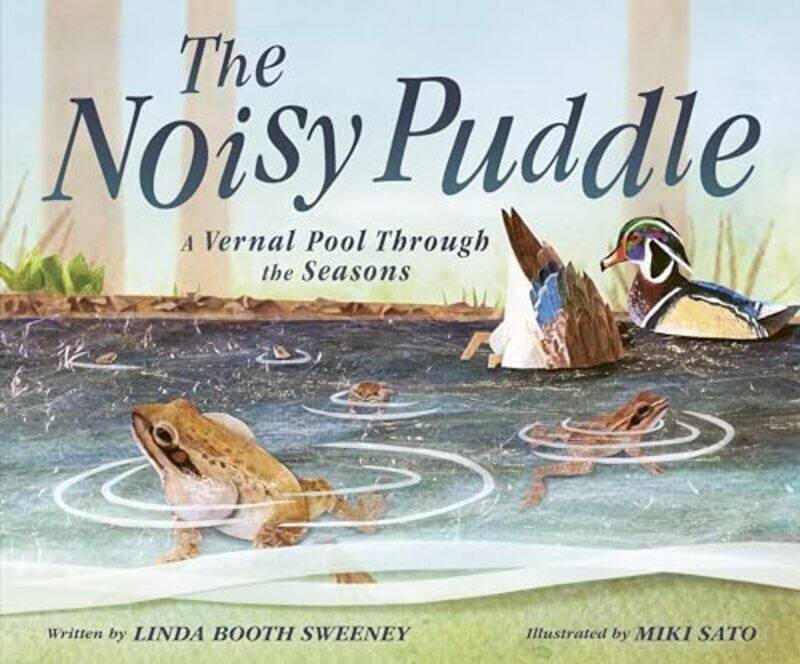 

Noisy Puddle By Booth Sweeney Linda - Hardcover