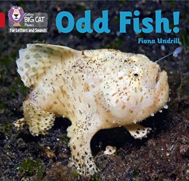 

Odd Fish! by Jocelyn Thornton-Paperback