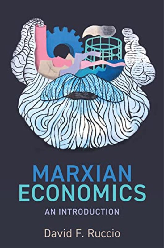 Marxian Economics by David F Ruccio-Paperback