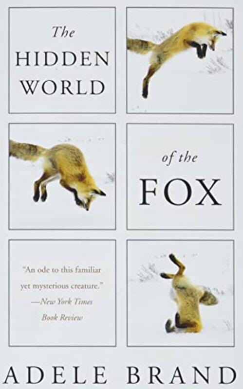 

The Hidden World Of The Fox by Adele Brand-Paperback