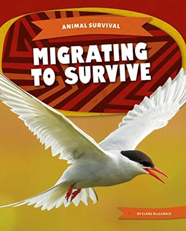 

Animal Survival Migrating to Survive by Clara MacCarald-Paperback