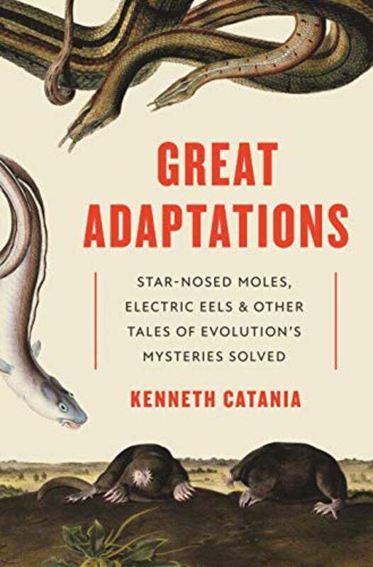 

Great Adaptations by Kenneth Catania-Hardcover