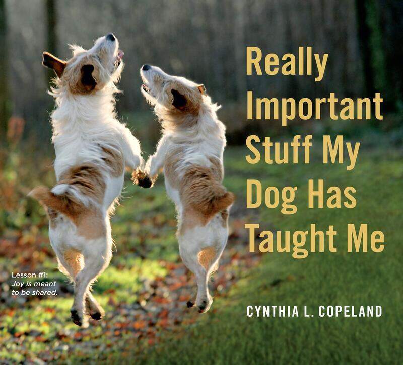 

Really Important Stuff My Dog Has Taught Me: Less Bark, More Wag