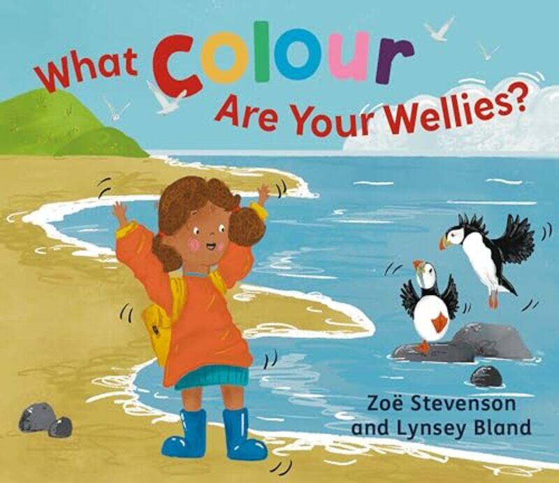 

What Colour Are Your Wellies by Zoe StevensonLynsey Bland -Paperback