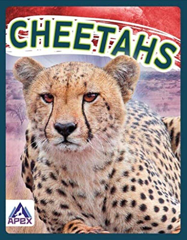 

Wild Cats Cheetahs by Sophie Geister-Jones-Paperback