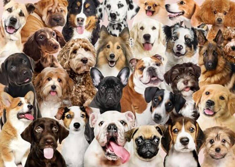 

All The Dogs Jigsaw Puzzle Peter Pauper Press, Inc Paperback