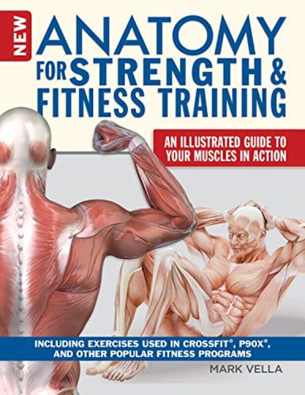 

Anatomy for Strength and Fitness Training by Jonathan ParkDavid Consultant Ophthalmologist Cornwall JonesLeo University of Keele UK Feinberg-Paperback