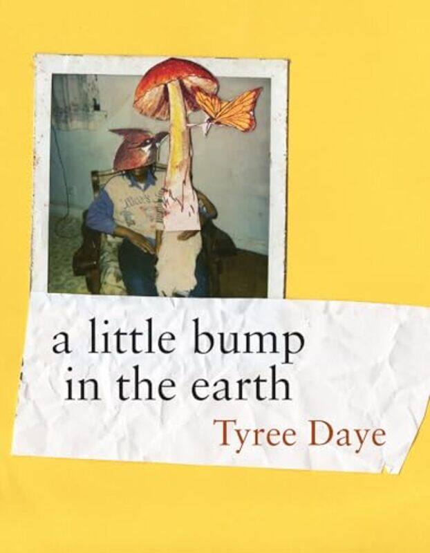 

A Little Bump In The Earth by Tyree Daye-Paperback