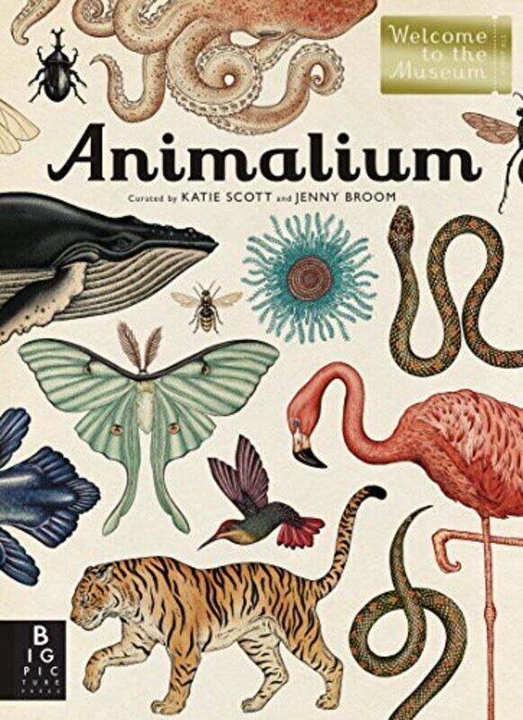 

Animalium: Welcome to the Museum,Hardcover by Broom, Jenny - Scott, Katie