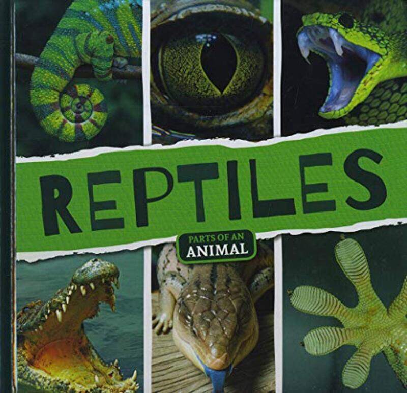 

Reptiles by Acharya Shunya-Hardcover