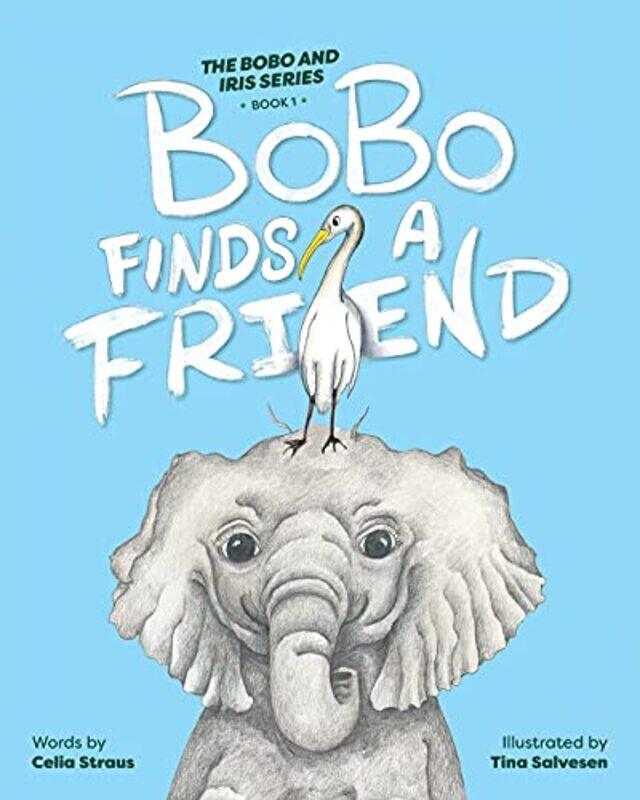 

BoBo Finds a Friend by Celia StrausTina Salvesen-Paperback