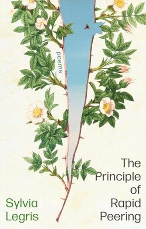 

The Principle Of Rapid Peering by Sylvia Legris-Paperback