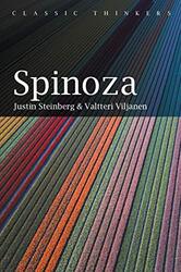 Spinoza by Justin Steinberg-Paperback