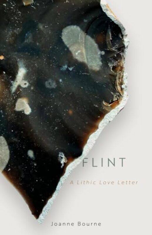 

Flint by Stuart J MurphyLynne Cravath-Hardcover