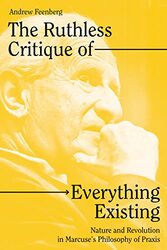 The Ruthless Critique of Everything Existing , Paperback by Andrew Feenberg