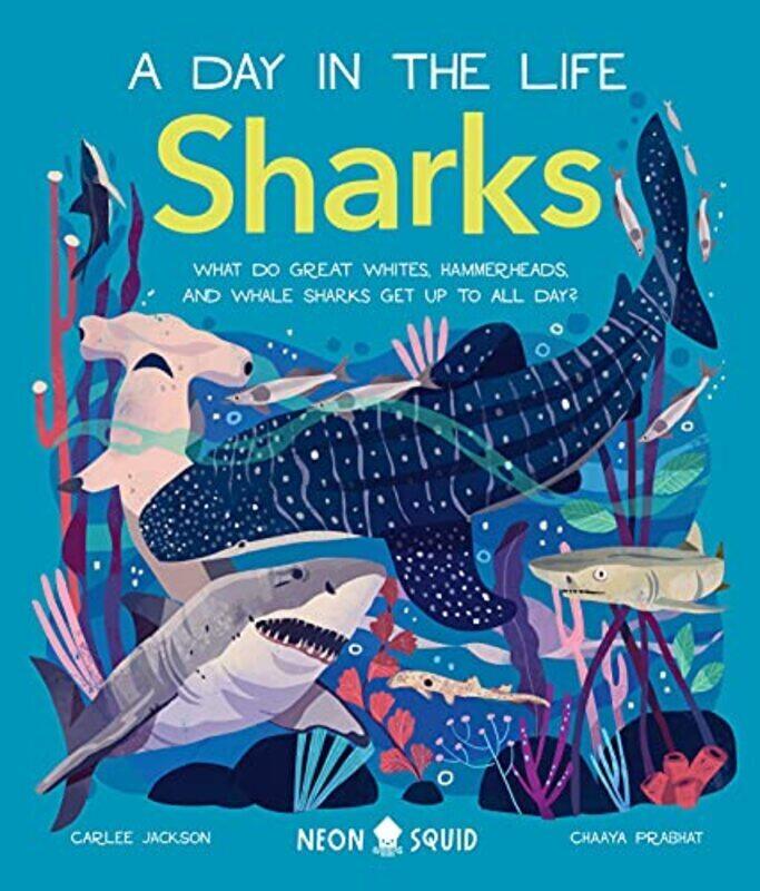 

Sharks A Day In The Life What Do Great Whites Hammerheads And Whale Sharks Get Up To All Day By Jackson, Carlee - Prabhat, Chaaya - Neon Squid Hardco