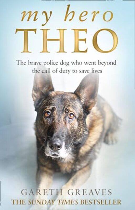 

My Hero Theo by Gareth Greaves-Paperback