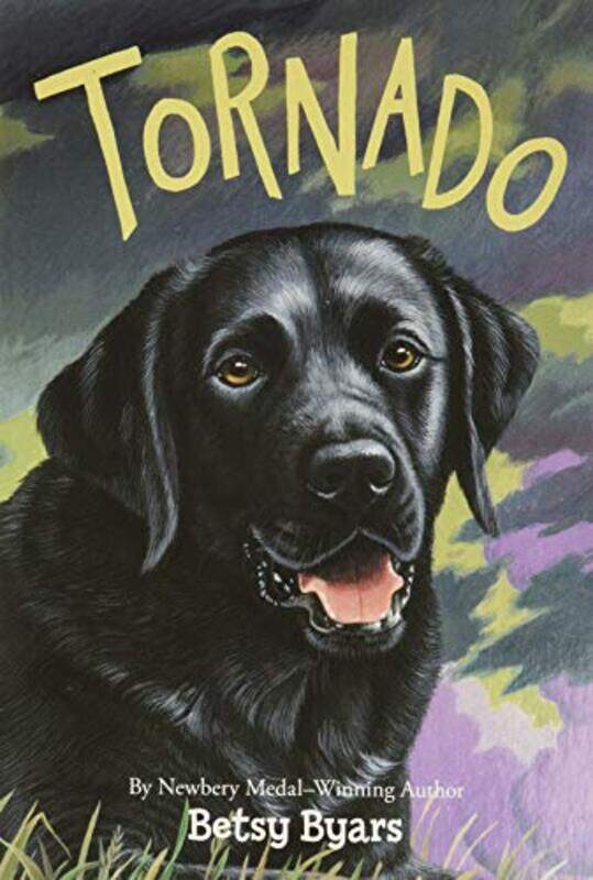 

Tornado A Novel By Byars Betsy - Paperback